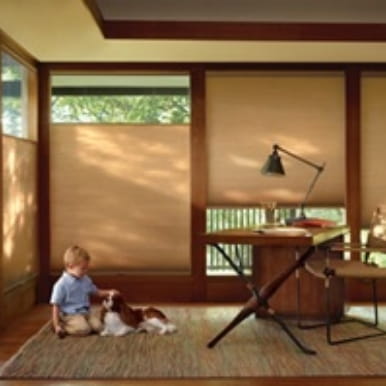 Child and Pet Safetyのイメージ